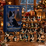 Border Collie adventi naptár 2026 – 24 figura