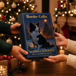 Border Collie adventi naptár 2026 – 24 figura