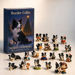 Border Collie adventi naptár 2026 – 24 figura
